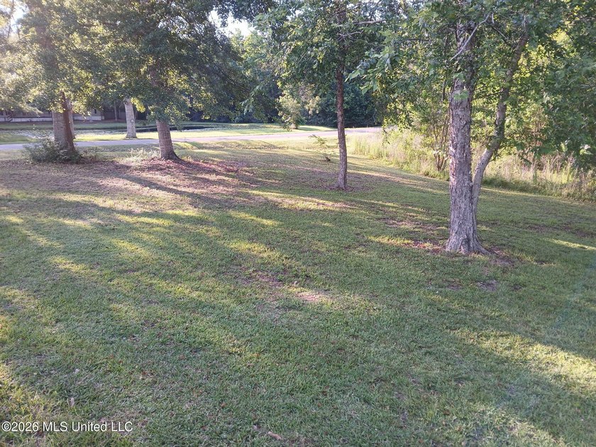 Charming 3BR/2BA Home with Upgrades &amp; Outdoor Extras - photo 23