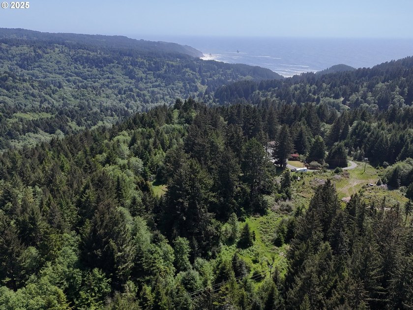 Over 6 Acres of Private, Tranquil and Useable Property. This - photo 3
