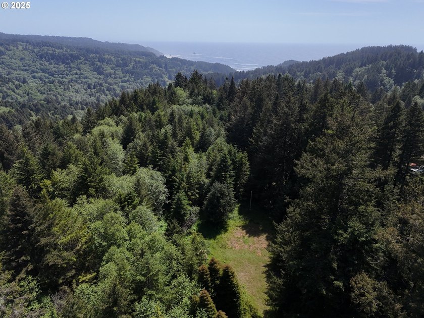 Over 6 Acres of Private, Tranquil and Useable Property. This - photo 4