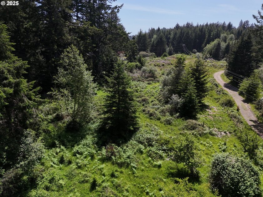 Over 6 Acres of Private, Tranquil and Useable Property. This - photo 5