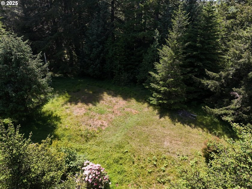 Over 6 Acres of Private, Tranquil and Useable Property. This - photo 8