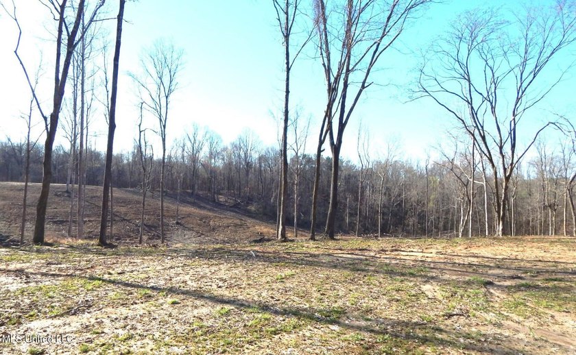 DeSoto County. This 83.562 surveyed acres is the perfect - photo 11