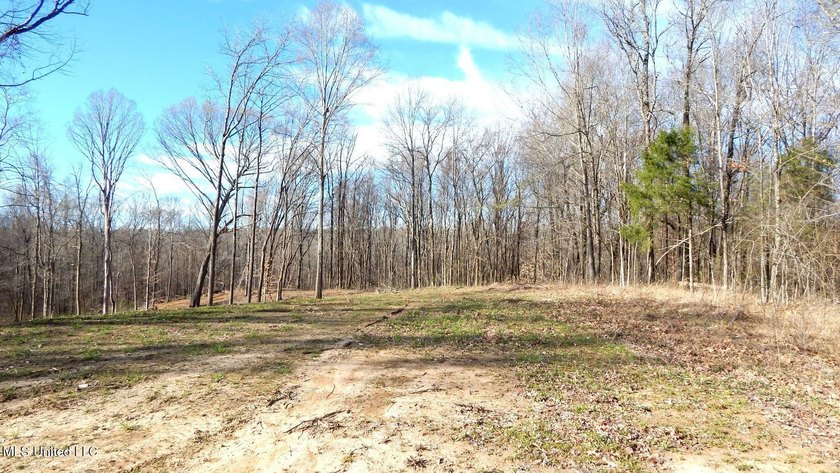 DeSoto County. This 83.562 surveyed acres is the perfect - photo 12