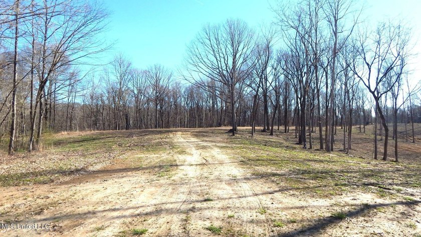 DeSoto County. This 83.562 surveyed acres is the perfect - photo 13