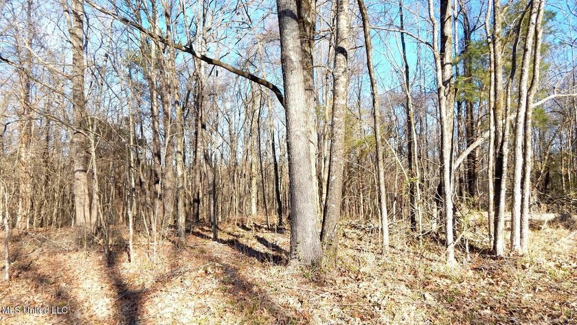 DeSoto County. This 83.562 surveyed acres is the perfect - photo 16