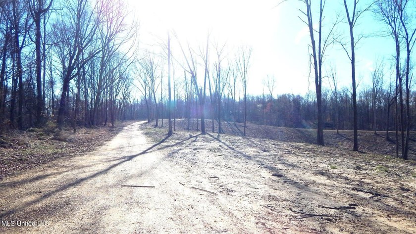 DeSoto County. This 83.562 surveyed acres is the perfect - photo 17