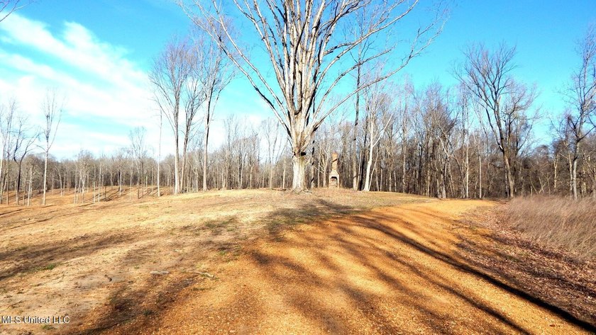 DeSoto County. This 83.562 surveyed acres is the perfect - photo 18