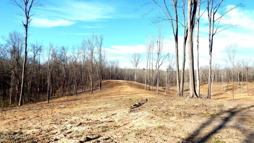 DeSoto County. This 83.562 surveyed acres is the perfect - photo 19