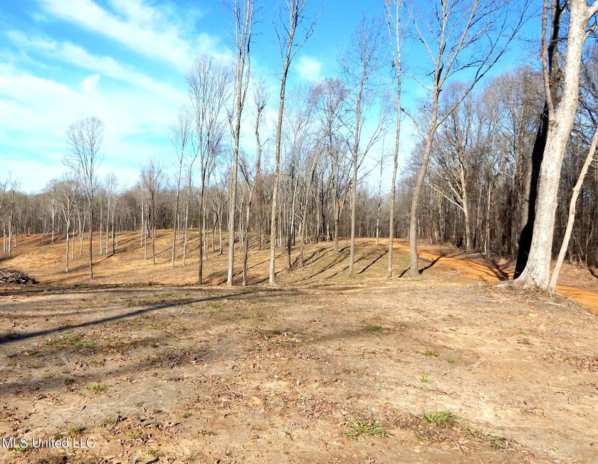 DeSoto County. This 83.562 surveyed acres is the perfect - photo 24