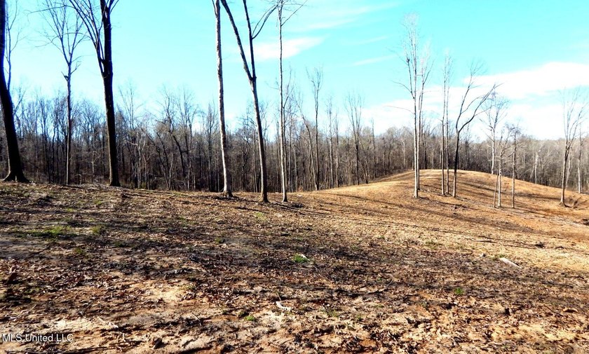 DeSoto County. This 83.562 surveyed acres is the perfect - photo 25