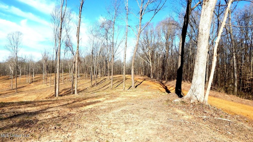 DeSoto County. This 83.562 surveyed acres is the perfect - photo 26
