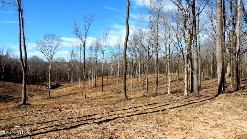 DeSoto County. This 83.562 surveyed acres is the perfect - photo 27