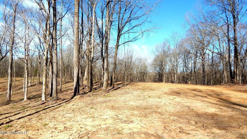 DeSoto County. This 83.562 surveyed acres is the perfect - photo 28