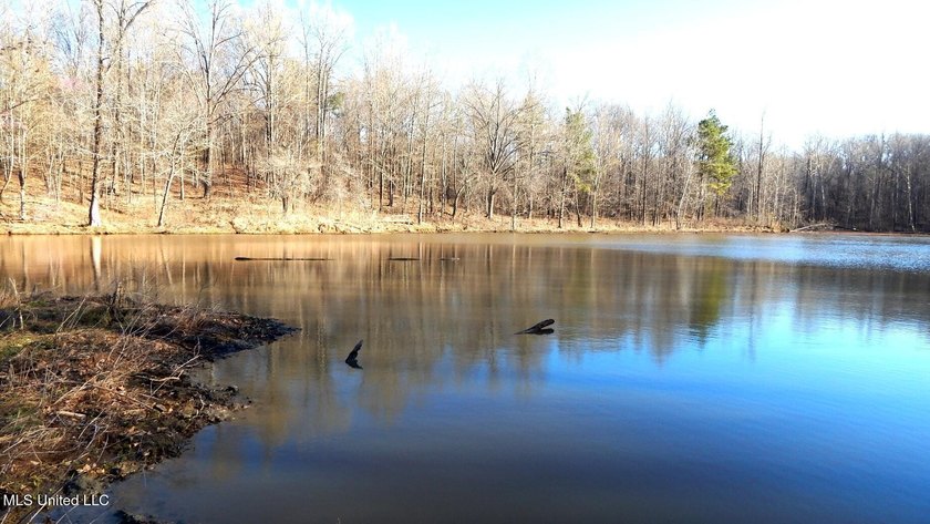DeSoto County. This 83.562 surveyed acres is the perfect - photo 32