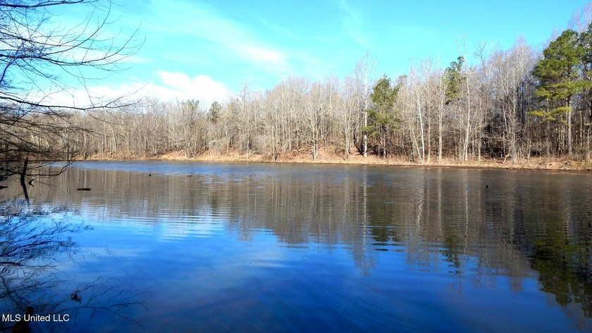 DeSoto County. This 83.562 surveyed acres is the perfect - photo 36
