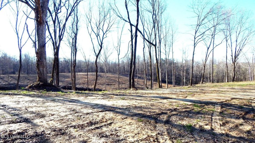 DeSoto County. This 83.562 surveyed acres is the perfect - photo 37