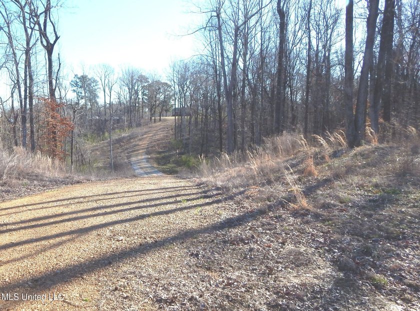 DeSoto County. This 83.562 surveyed acres is the perfect - photo 40