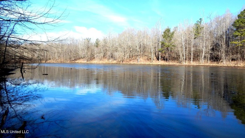 DeSoto County. This 83.562 surveyed acres is the perfect - photo 41