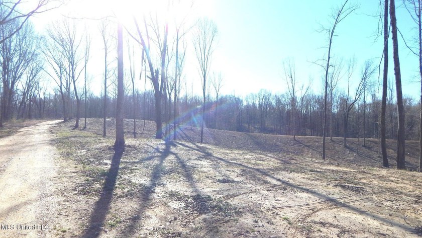 DeSoto County. This 83.562 surveyed acres is the perfect - photo 42