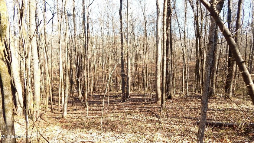 DeSoto County. This 83.562 surveyed acres is the perfect - photo 45