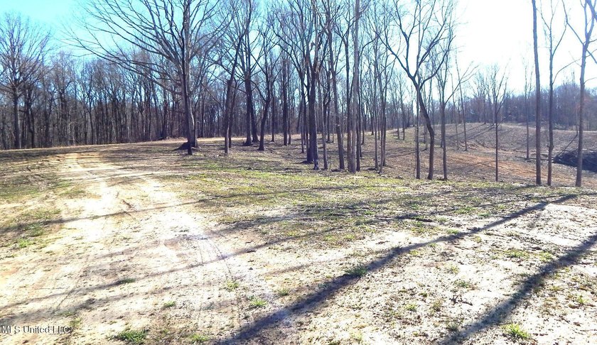 DeSoto County. This 83.562 surveyed acres is the perfect - photo 49