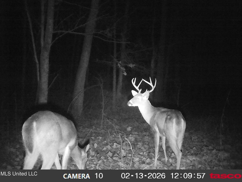 DeSoto County. This 83.562 surveyed acres is the perfect - photo 54