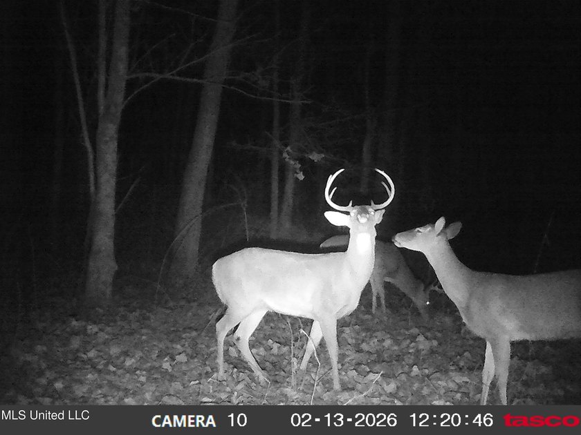DeSoto County. This 83.562 surveyed acres is the perfect - photo 56