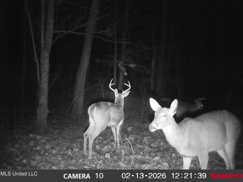 DeSoto County. This 83.562 surveyed acres is the perfect - photo 57
