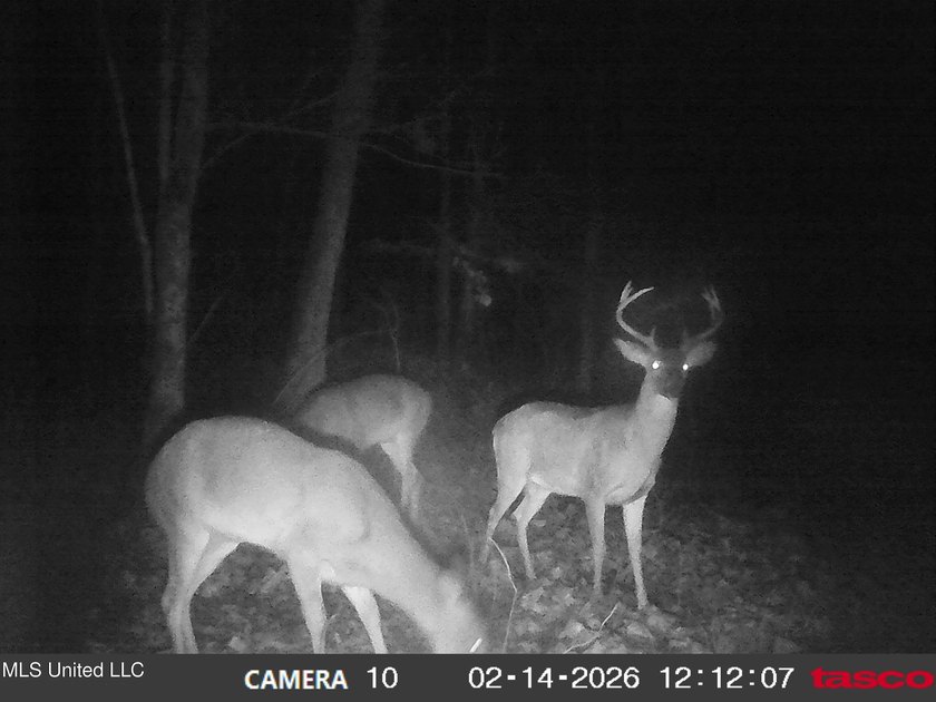 DeSoto County. This 83.562 surveyed acres is the perfect - photo 58