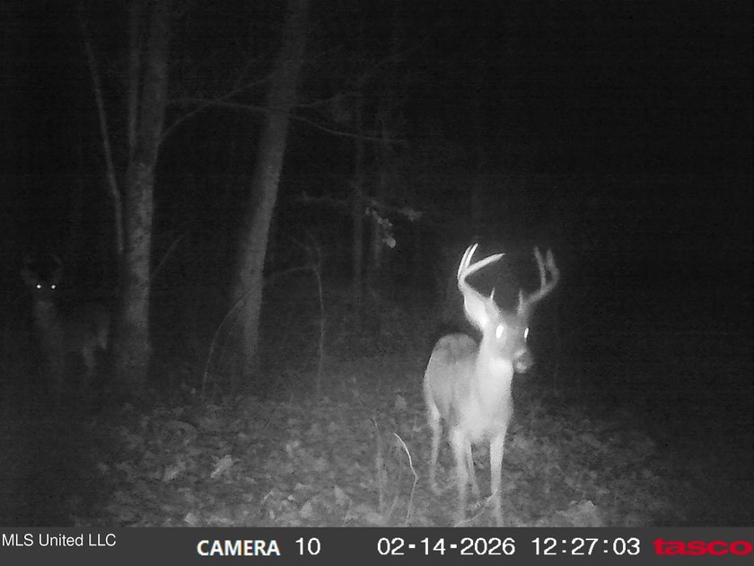 DeSoto County. This 83.562 surveyed acres is the perfect - photo 59