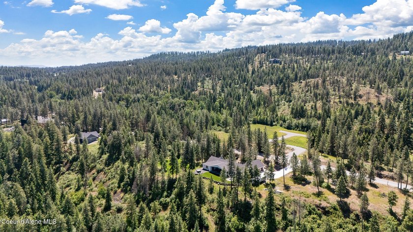 Experience North Idaho luxury with this exquisite, custom-built - photo 44