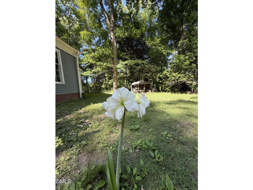 NO HOA &amp; 1.64 ACRES! Welcome home to this secluded and charming - photo 12