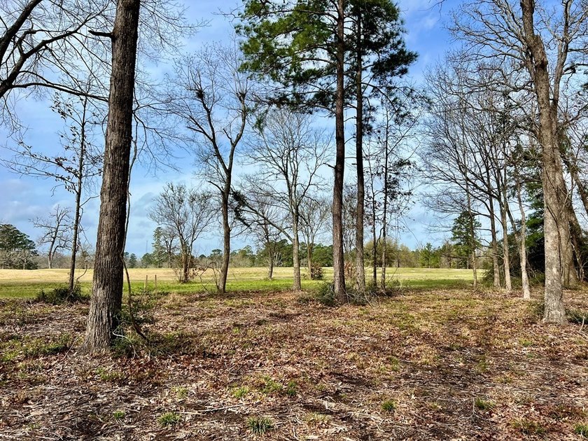 Beautiful 3.48 acres, cleared and ready for your new home. This - photo 12
