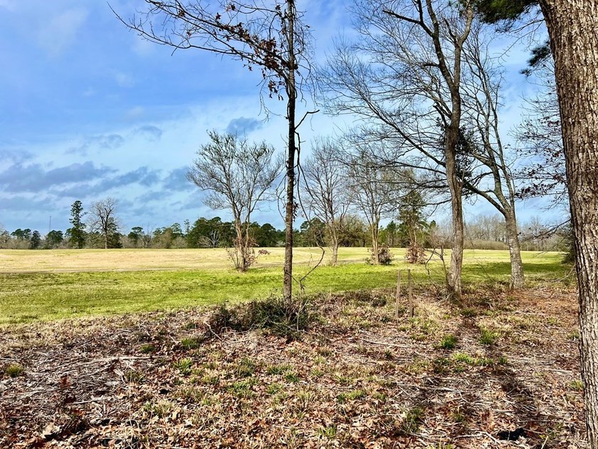 Beautiful 3.48 acres, cleared and ready for your new home. This - photo 14