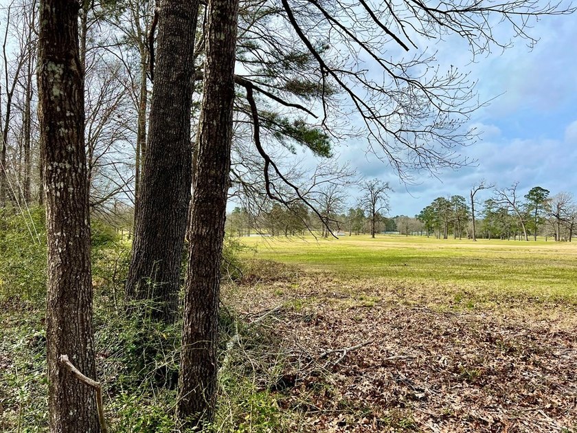 Beautiful 3.48 acres, cleared and ready for your new home. This - photo 15