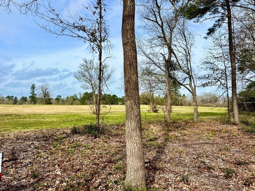 Beautiful 3.48 acres, cleared and ready for your new home. This - photo 16