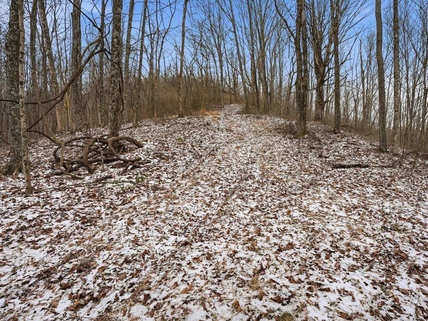 77.09 acres for sale in Ritchie County, West Virginia. Don't - photo 14
