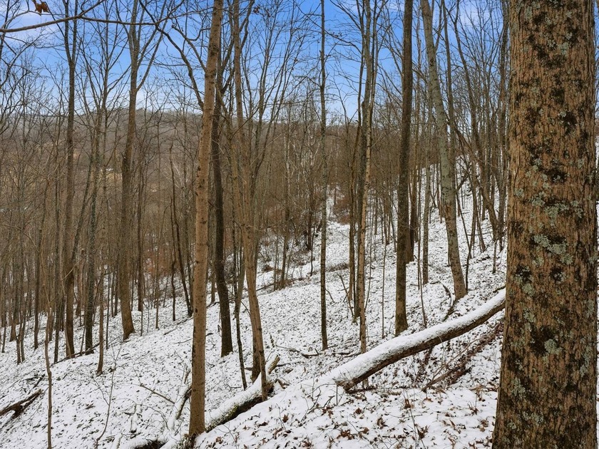 77.09 acres for sale in Ritchie County, West Virginia. Don't - photo 16