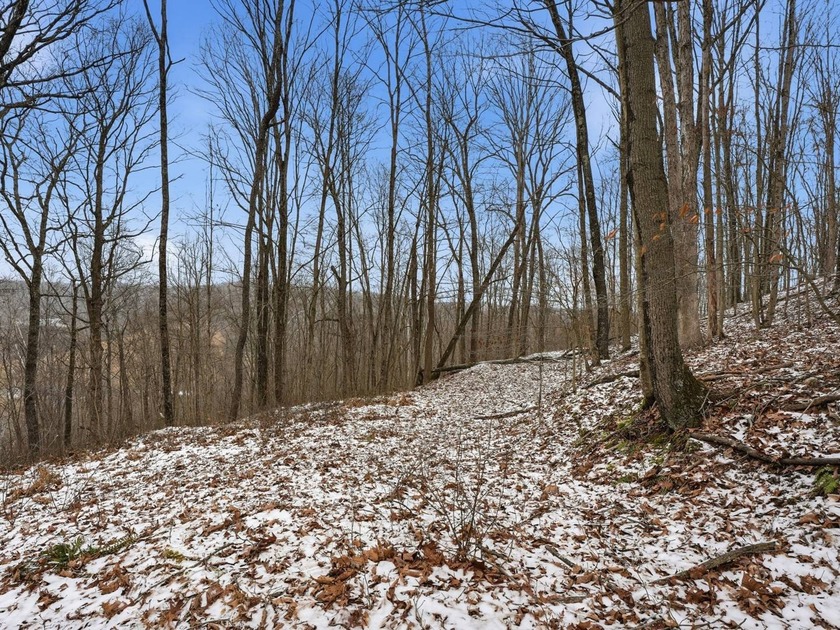 77.09 acres for sale in Ritchie County, West Virginia. Don't - photo 17