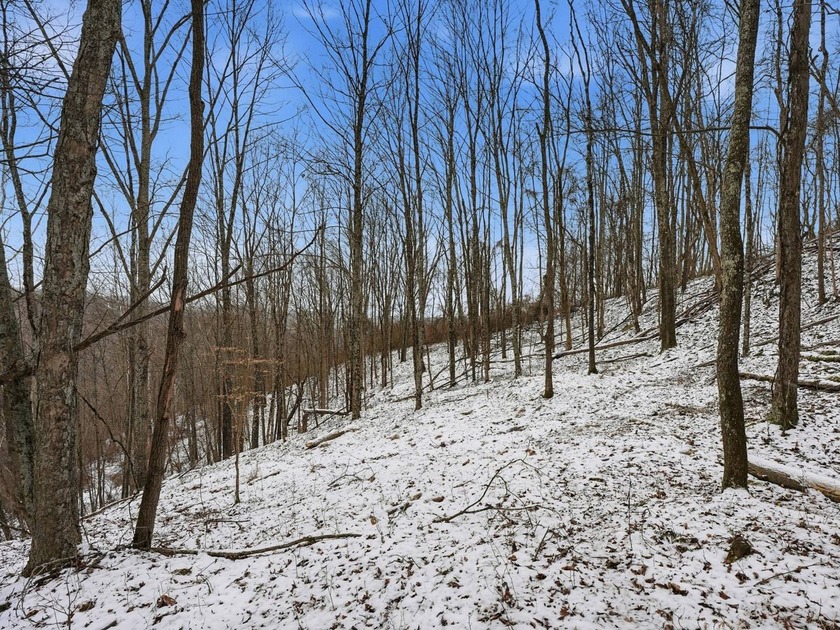 77.09 acres for sale in Ritchie County, West Virginia. Don't - photo 20