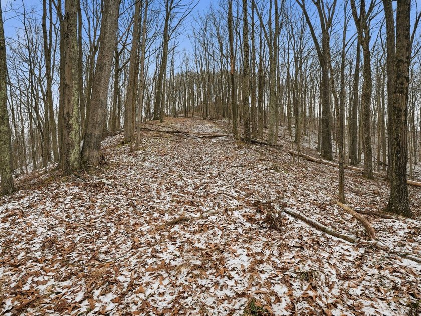 77.09 acres for sale in Ritchie County, West Virginia. Don't - photo 21
