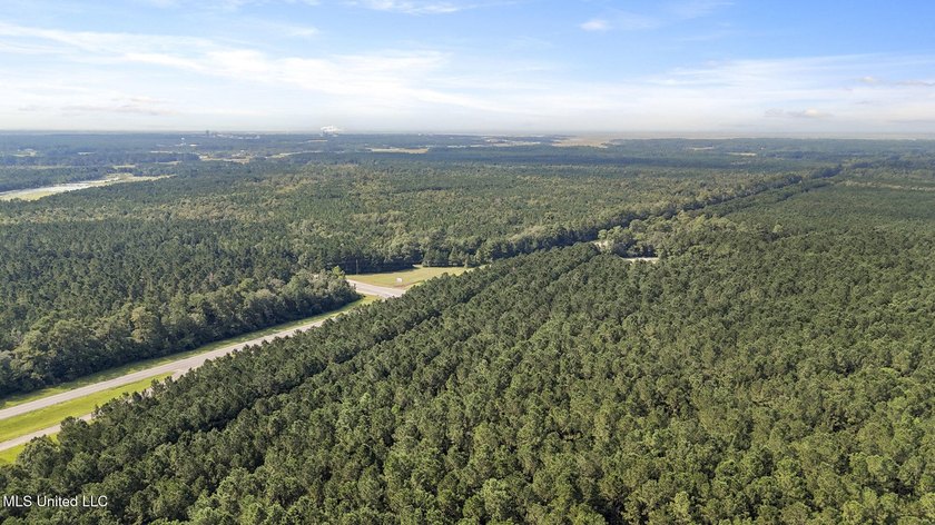 PRIME INDUSTRIAL LAND OPPORTUNITY IN PEARLINGTON, MISSISSIPPI - photo 14