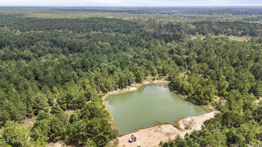 PRIME INDUSTRIAL LAND OPPORTUNITY IN PEARLINGTON, MISSISSIPPI - photo 15