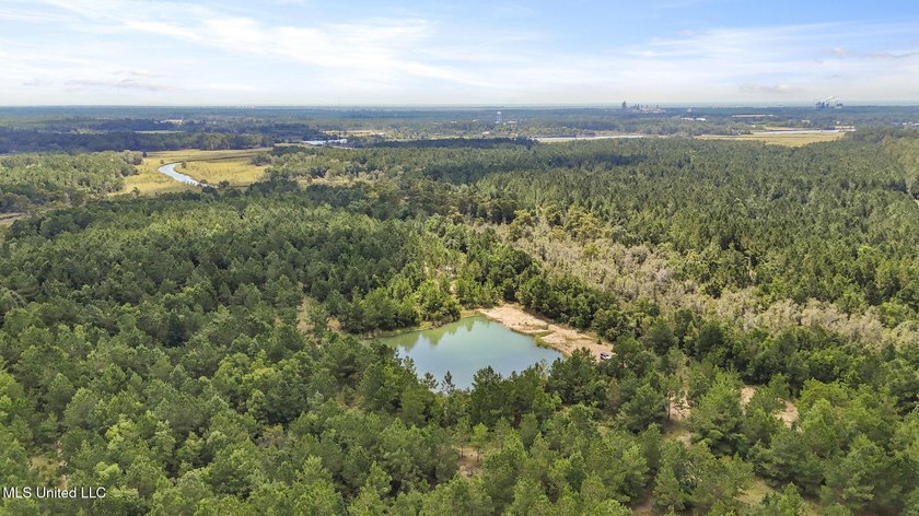 PRIME INDUSTRIAL LAND OPPORTUNITY IN PEARLINGTON, MISSISSIPPI - photo 16
