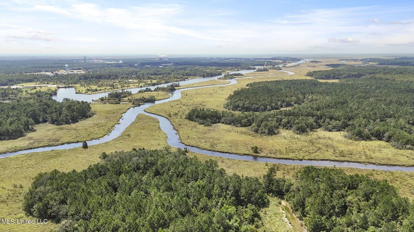 PRIME INDUSTRIAL LAND OPPORTUNITY IN PEARLINGTON, MISSISSIPPI - photo 24