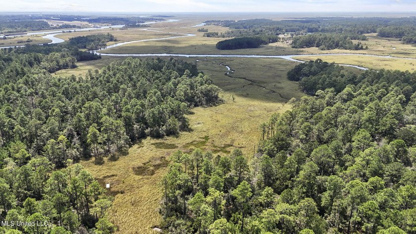 PRIME INDUSTRIAL LAND OPPORTUNITY IN PEARLINGTON, MISSISSIPPI - photo 28