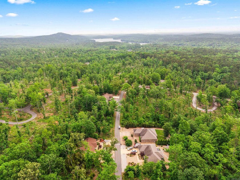Tucked inside the gated community of Hot Springs Village, this - photo 46