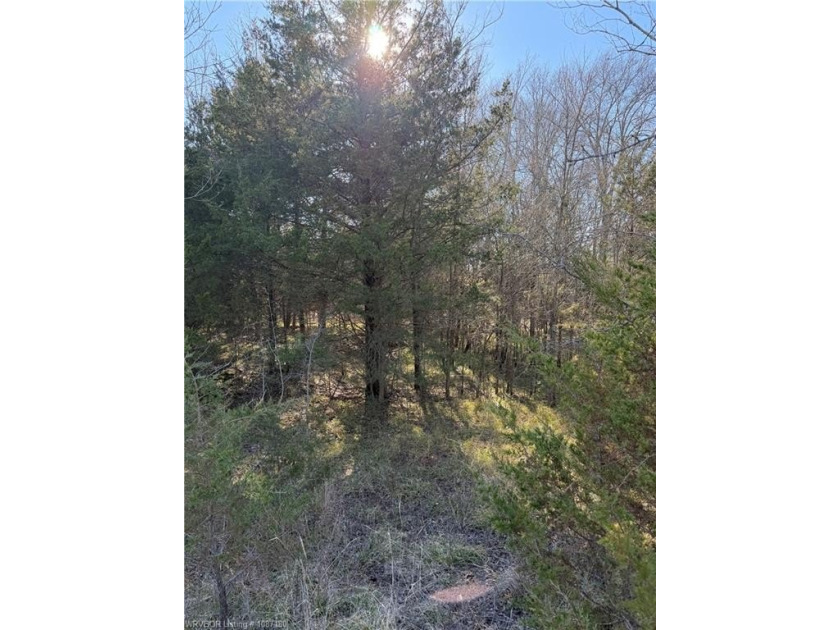 Discover 28 acres of opportunity just outside Keota near - photo 15