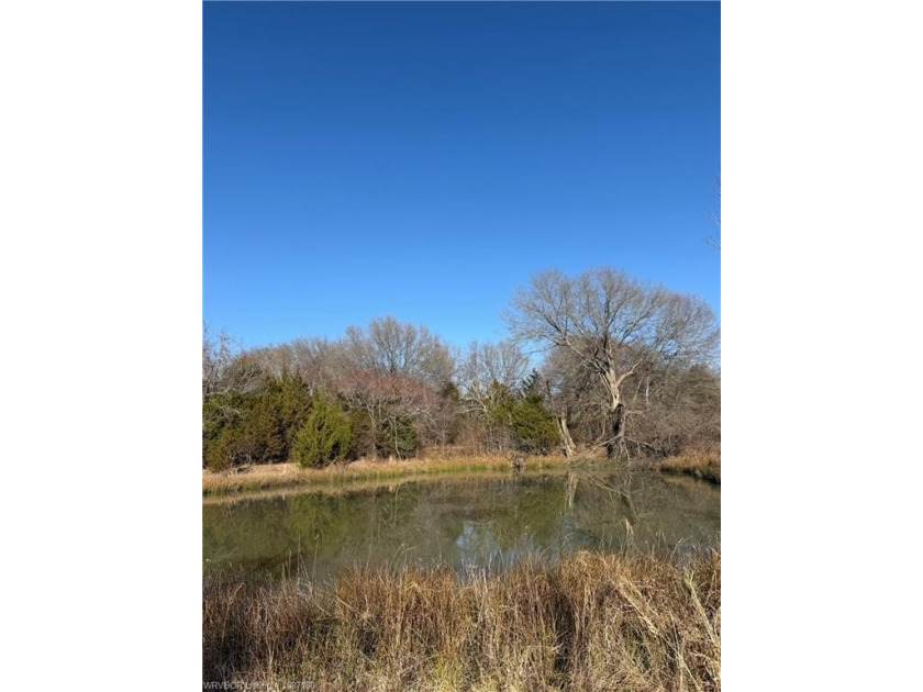 Discover 28 acres of opportunity just outside Keota near - photo 17