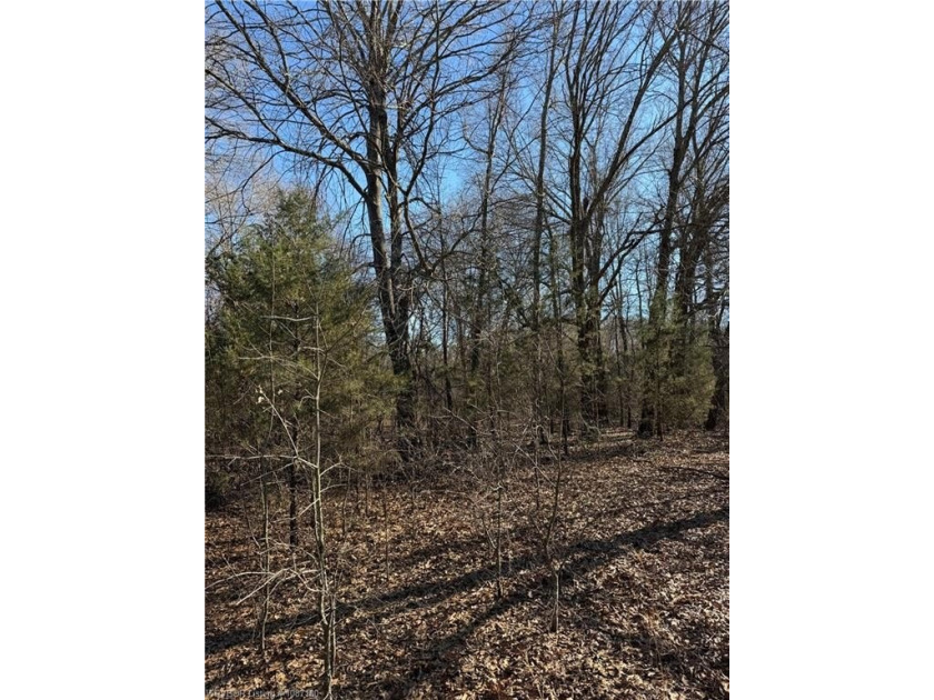 Discover 28 acres of opportunity just outside Keota near - photo 20